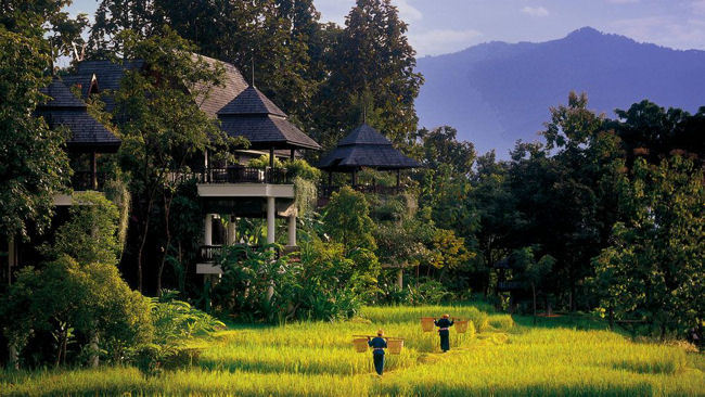 Hotel Review: Thailand: Four Seasons Resort Chiang Mai