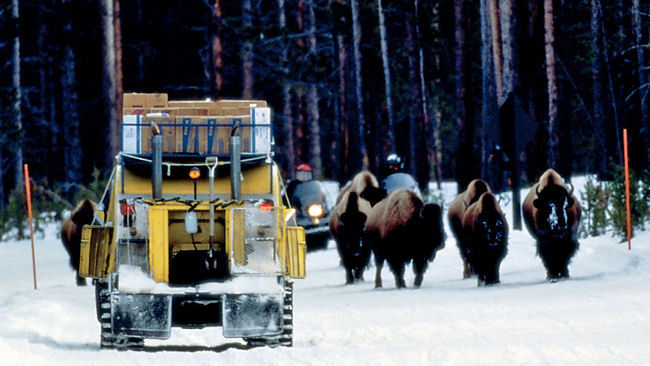 Yellowstone National Park Lodges Announces Winter Season Packages