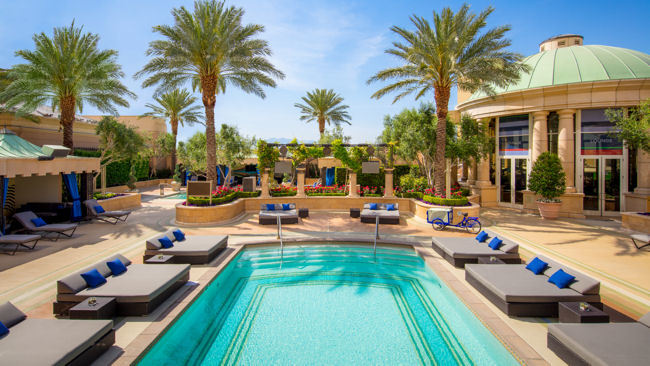 The Palazzo Las Vegas Invites Guests to Dive Into the Good Life with the Launch of The Aquatic Club