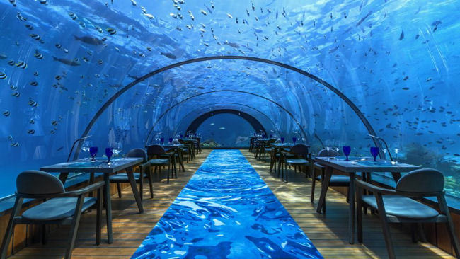 Michelin-Starred Maldives: Fine Dining Amongst the Fishes 