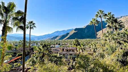 Luxury Boutique Relaxation at The Willows Historic Palm Springs Inn