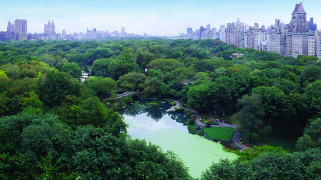 Luxury New York Hotel, The Plaza, Celebrates Central Park