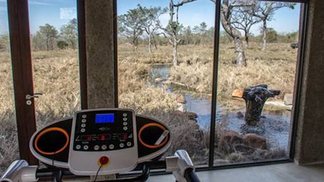 Stay Fit in the African Bush with Sabi Sabi's New Gym with a View