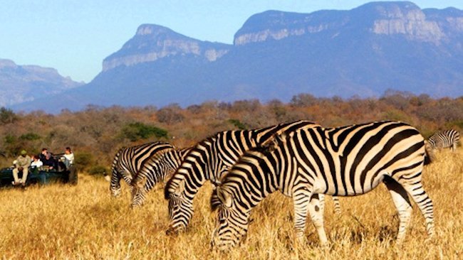 Spring into South Africa with African Travel, Inc.