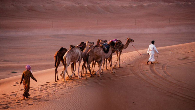 Exotic Voyages Launches New Tours to Oman, India and Japan