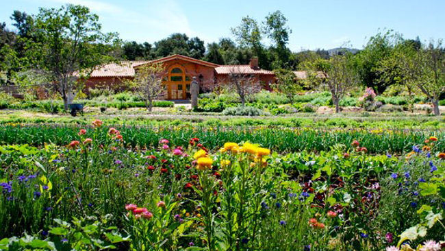Travel + Leisure Names Rancho La Puerta World's Best Destination Spa