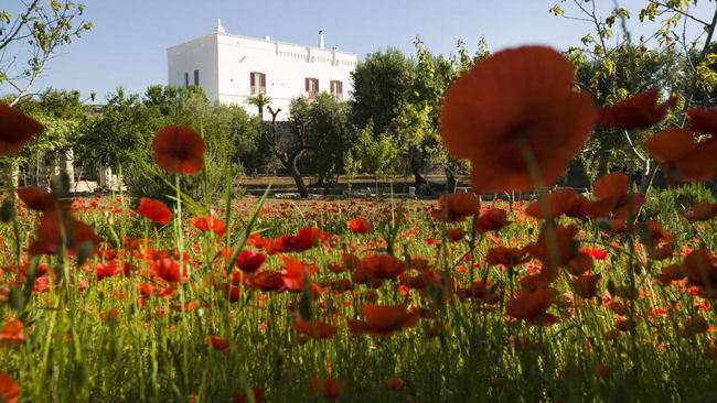 Experience the Passion of Puglia for Valentine's Day