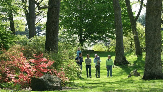 New Website Offers Guide to Botanic Gardens in Massachusetts