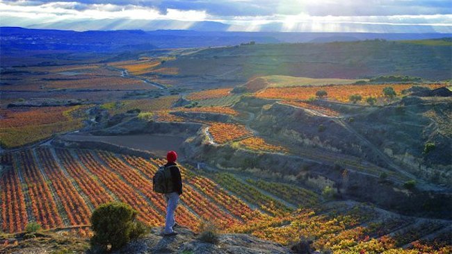 Wine Enthusiast Reveals 10 Best Wine Travel Destinations of 2015