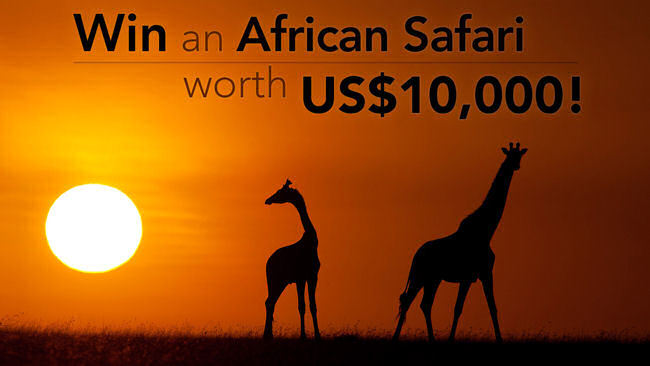 Win A Luxury African Safari Worth US$10,000 
