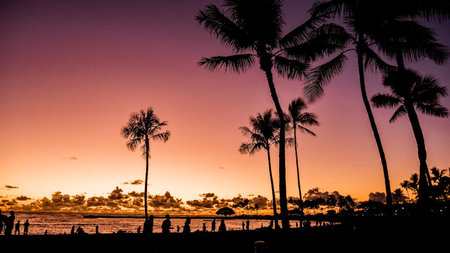 Chasing Luxury and Love: 10 Romantic Things to Do in Hawaii For Couples
