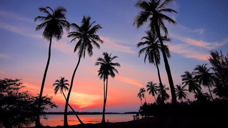 Exploring Tropical Paradises: Unraveling the Charms of Beach & Island Destinations