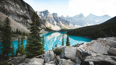 The Best Sightseeing Spots for Photography Enthusiasts in Alberta
