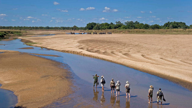Sanctuary Retreats Introduces African Walking Safaris with a Difference 