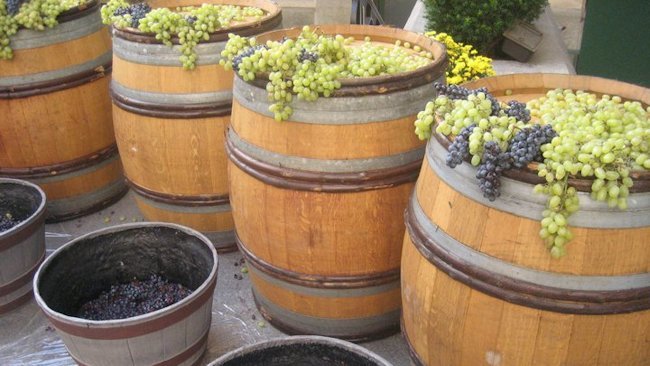 Virginia Celebrates October Wine Harvest with Festivals & Travel Packages