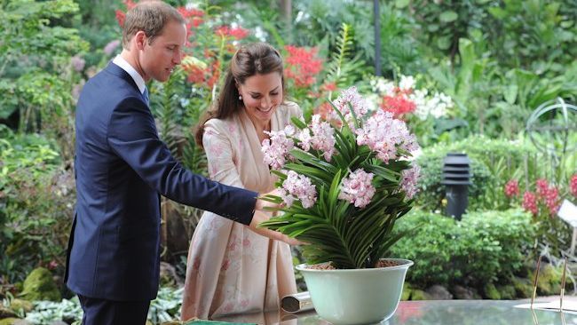 Royal Couple Visits the National Orchid Garden in Singapore