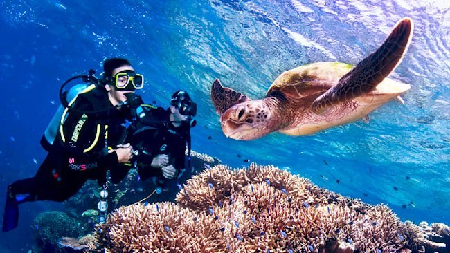 Queensland, Australia Debuts Oceans Away Vacations by Jean-Michel Cousteau