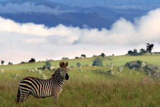 Wilderness Safaris Secures Tourism Concession for Nyika National Park, Malawi