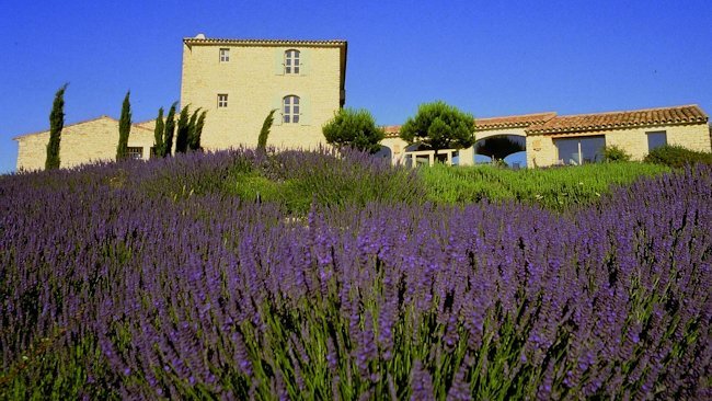 Tour de France Champion Shares Favorite Places to Bike and Stay in Provence
