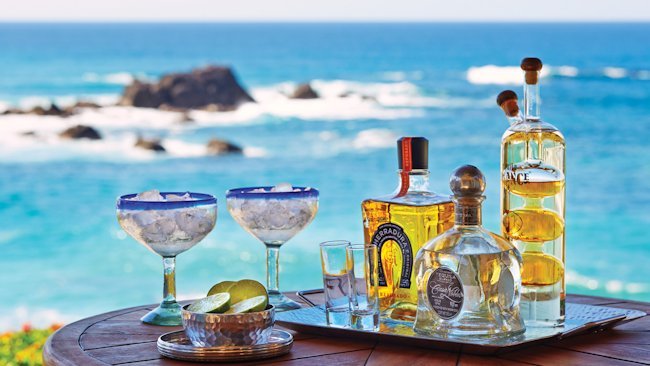 Ultimate Tequila Tour Offered by Four Seasons Resort Punta Mita