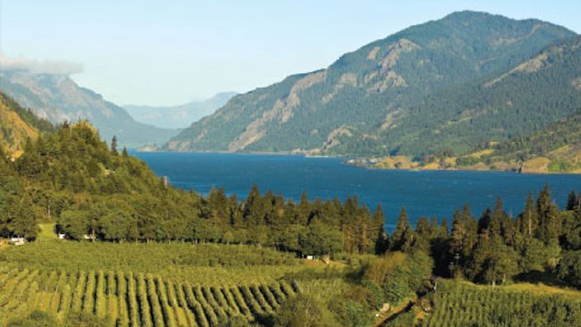 Visit Nine Wineries on Weeklong Small Ship River Cruise in the Pacific Northwest