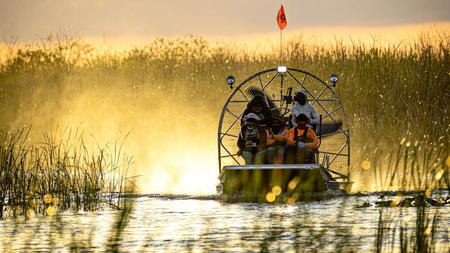 Experience the Best Everglades Airboat Tours