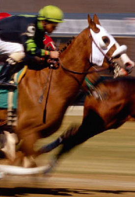 Luxury Horse Racing Travel Company Signs Legendary Jockey Mick Kinane