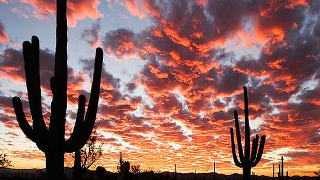 Tucson & Southern Arizona: Welcome to the Real American Southwest
