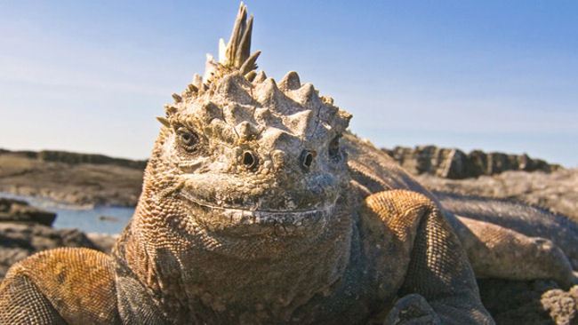 Abercrombie & Kent's Galapagos Trip Offers Exclusive access to Charles Darwin Research Station
