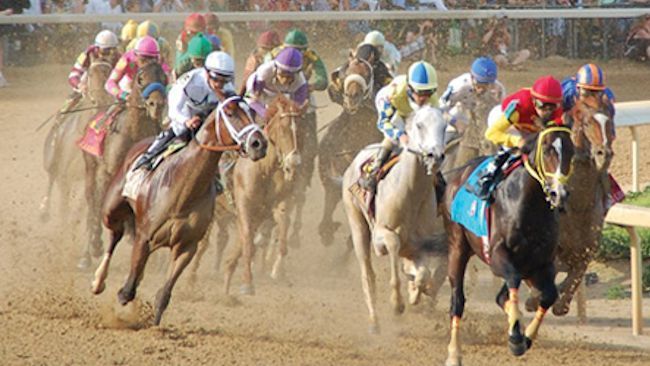 Tauck Offers Exclusive Kentucky Derby Experience
