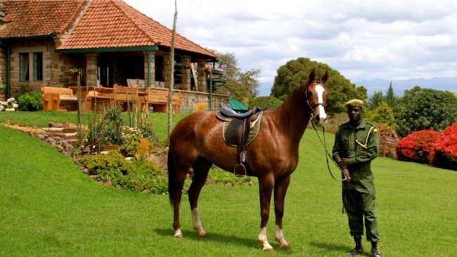 For Unbridled Adventure Go Horseback Riding in a Wildlife Sanctuary