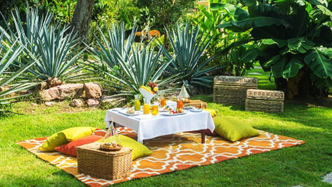 Picnic in Paradise at Mexico's Foodie Resorts 