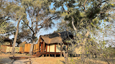 Sanctuary Chief’s Camp: A Safari Adventure in Botswana's Pristine Okavango Delta