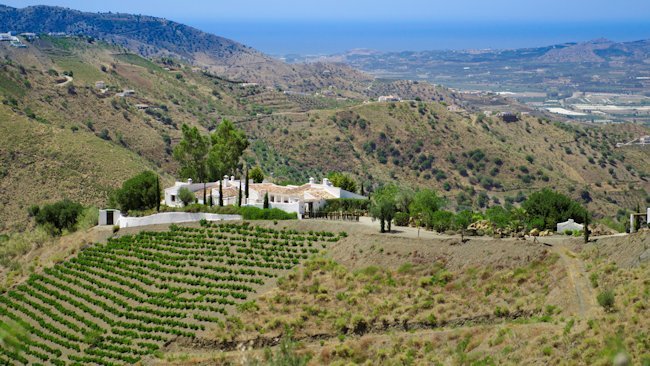 Cortijo El Carligto Claims Top Spot as Private Andalucian 'Gastro-Villa'