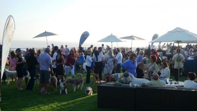 Take Your Pet to Yappy Hour this Summer at The Ritz-Carlton, Laguna Niguel