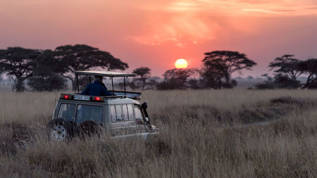 Carry Less, Enjoy More: Here's Your Laid-back Luxury Safari Guide