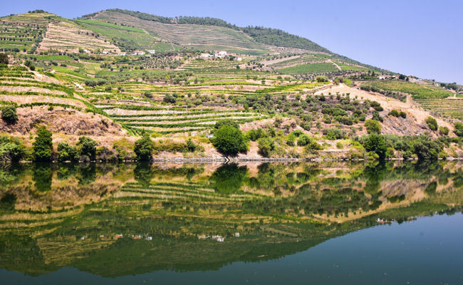 From Water to Wine: A Journey Up The Dramatic Douro River 
