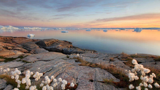 Hurtigruten Offers Specials on Arctic Voyages