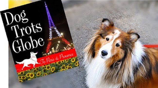 Dog Trots Globe To Paris and Provence