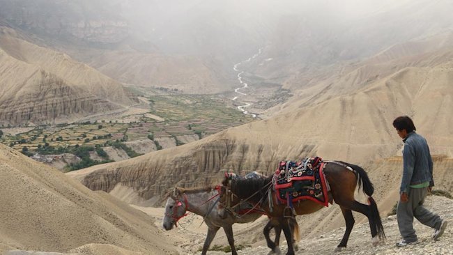 The Explorer's Passage Offers Myth of Mustang Trek