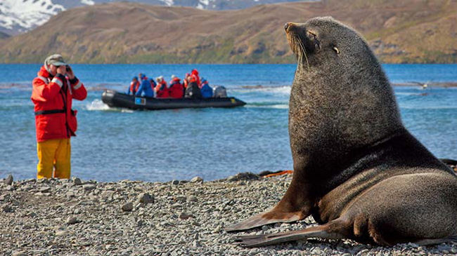 Fly The Falklands Crossing with Lindblad Expeditions