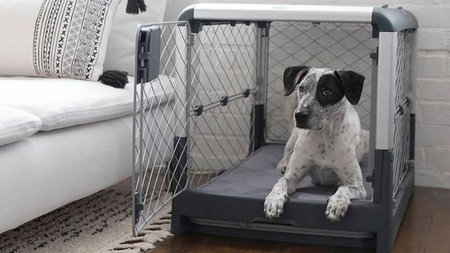 Revol by Diggs Collapsible Dog Crate Convenient for Traveling