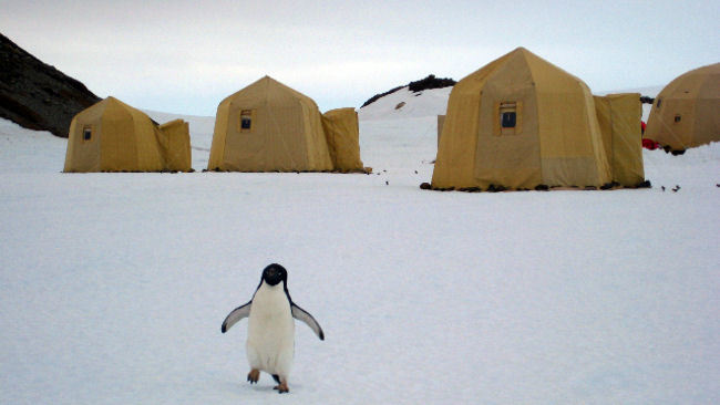 Experience Antarctica with Mantis Collection's White Desert