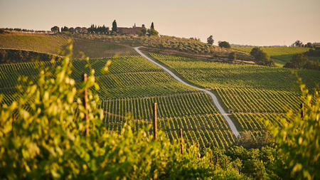 How to Plan the Perfect Tuscany Wine Tour: Tips for Wine Lovers