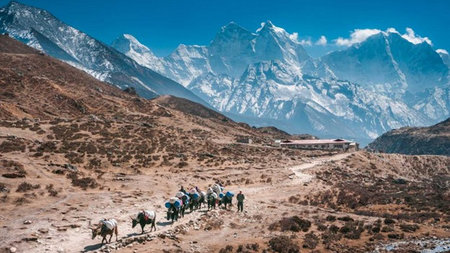 Everest Base Camp Trek: The Ultimate Guide