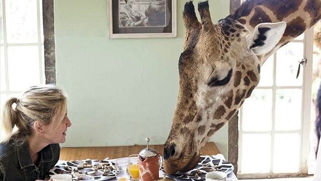 Giraffe Manor - Nairobi, Kenya - Luxury Safari Lodge-slide-4