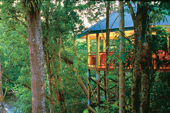 Silky Oaks Lodge - Daintree National Rainforest, Queensland, Australia - Luxury Spa Resort-slide-14