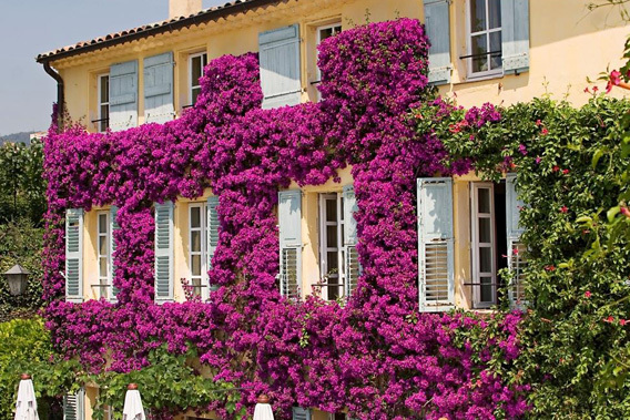 La Bastide Saint Antoine -  Grasse, Provence, France - Luxury Country House Hotel-slide-3