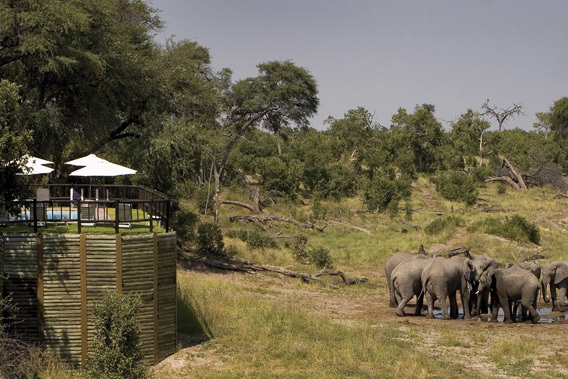 Belmond Savute Elephant Camp - Chobe National Park, Botswana -slide-12