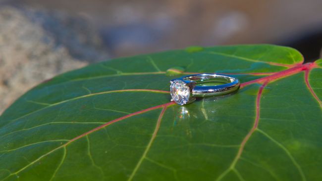 engagement ring on tropical leaf